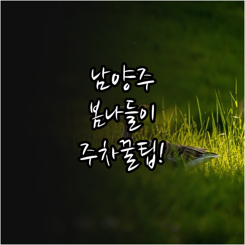 남양주 봄 나들이 명소 추천과 대중교..