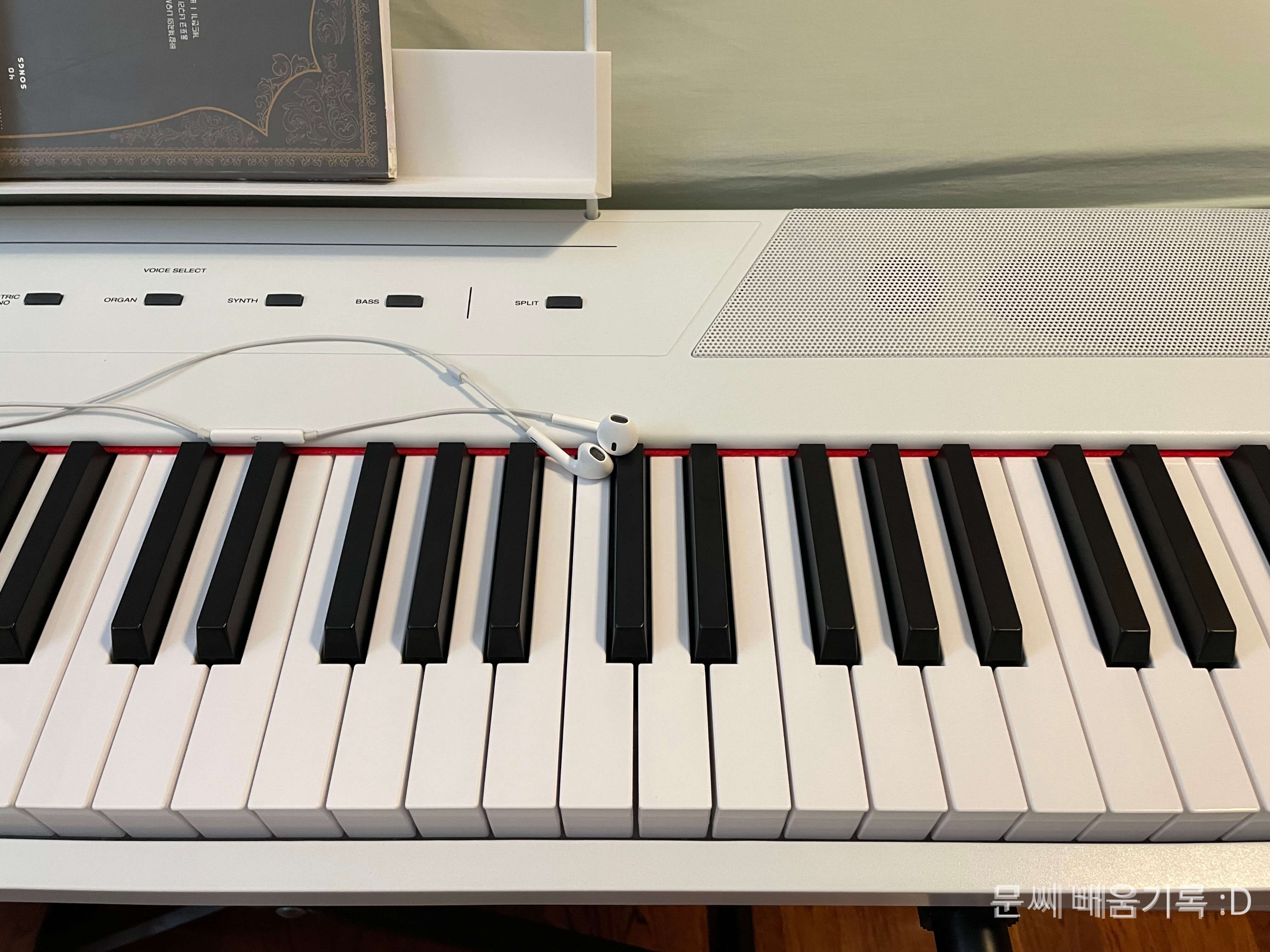 일상을 채우는 배움의 기록