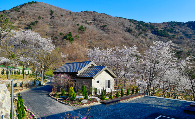 월아산 자연휴양림