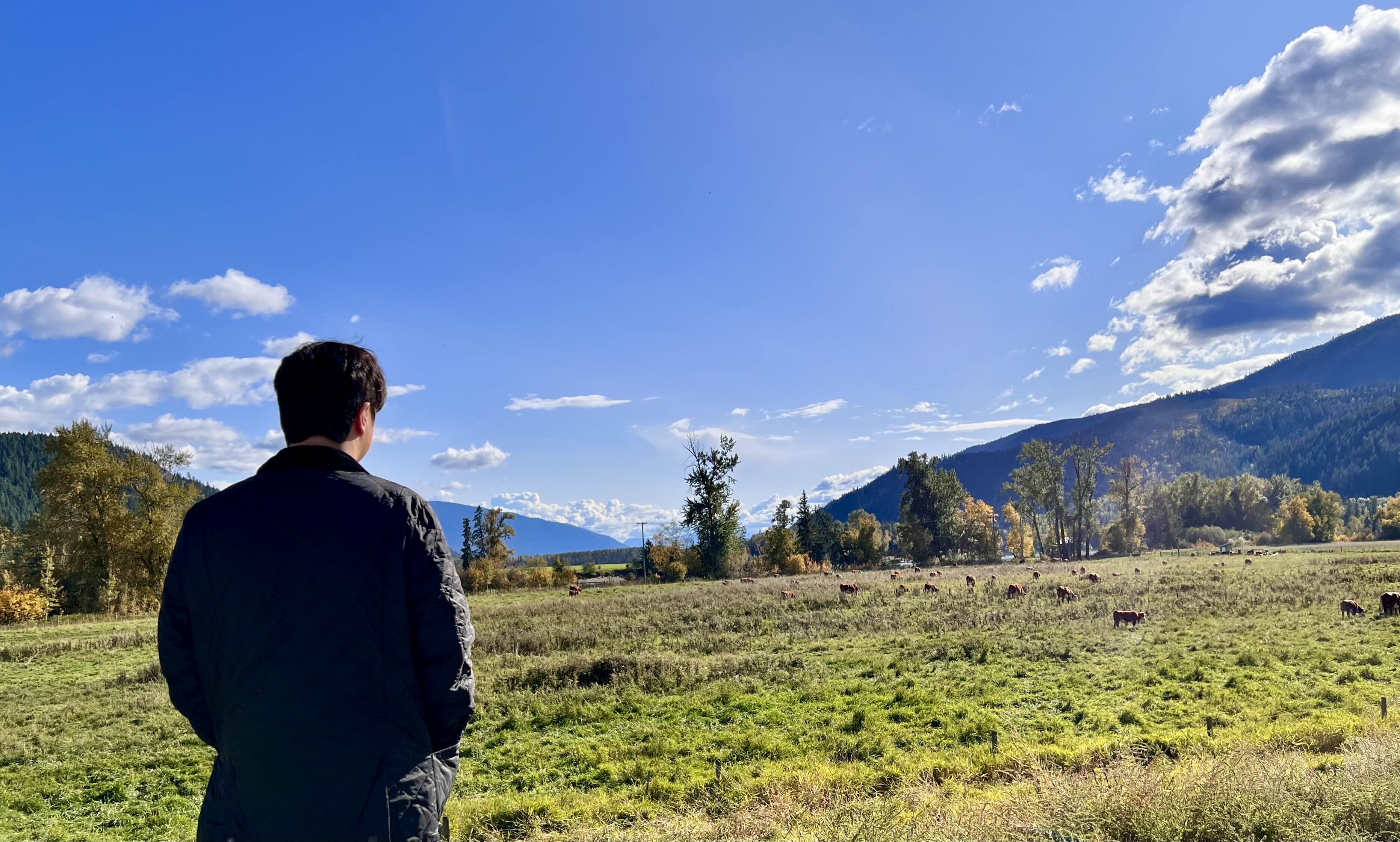 리틀 포르의 노스 톰슨 강 근처에서 한 컷