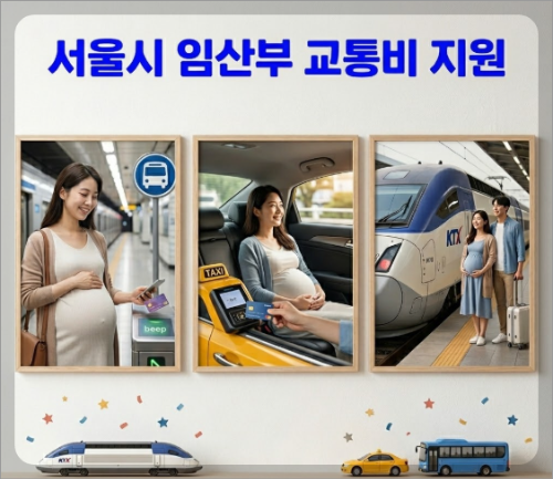 서울시 임산부 교통비 최대 100만 원 상향! 자녀 수별 혜택 및 소급 적용 완벽 정리