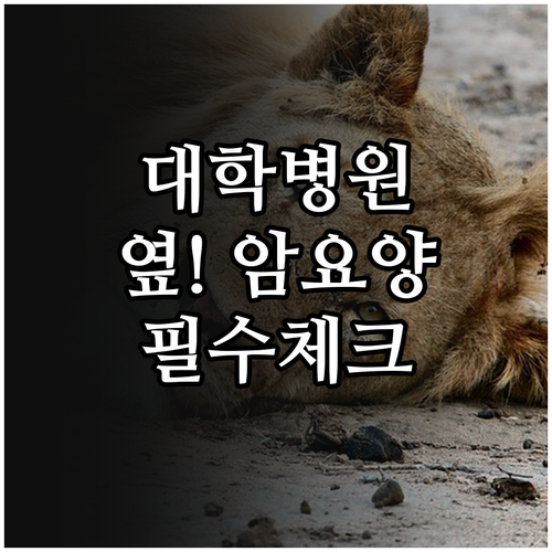 체력 보존과 이동 효율을 위한 대학병..