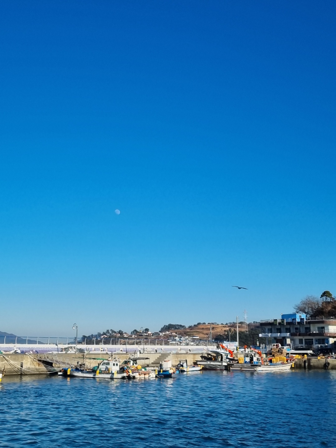 이수도