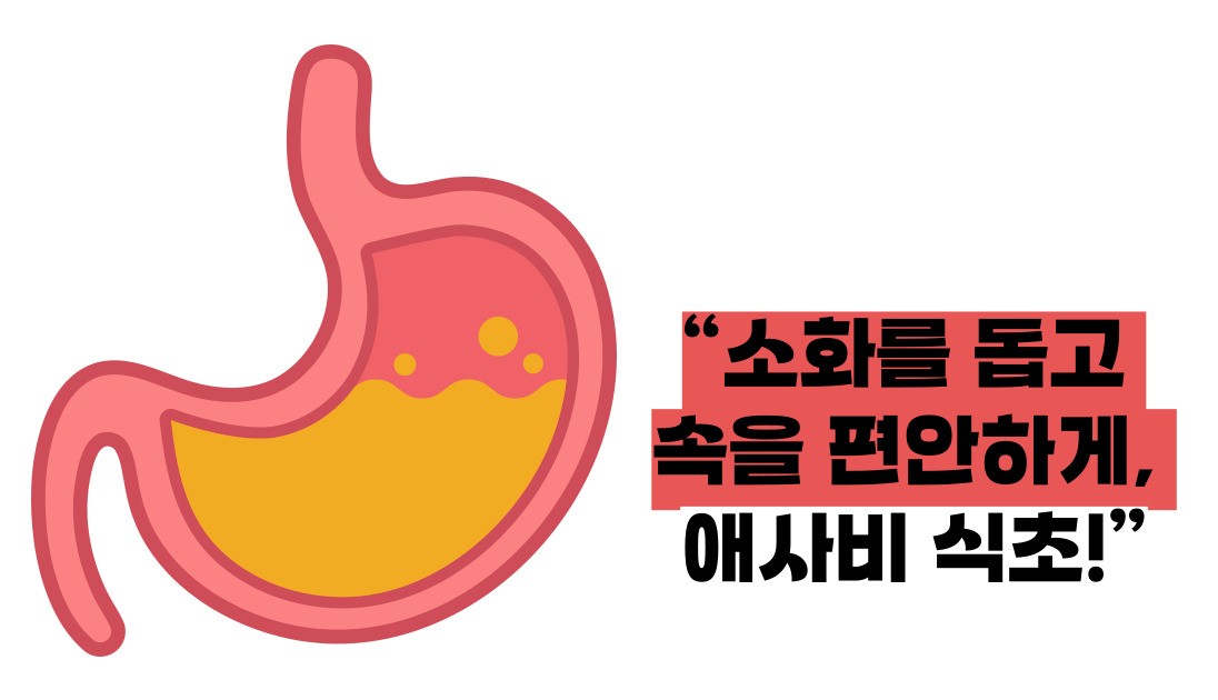 애사비 식초 효능