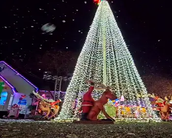 청도 프로방스 빛축제_10