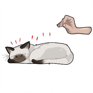 추석 연휴 24시동물병원 실시간정보 가까운위치