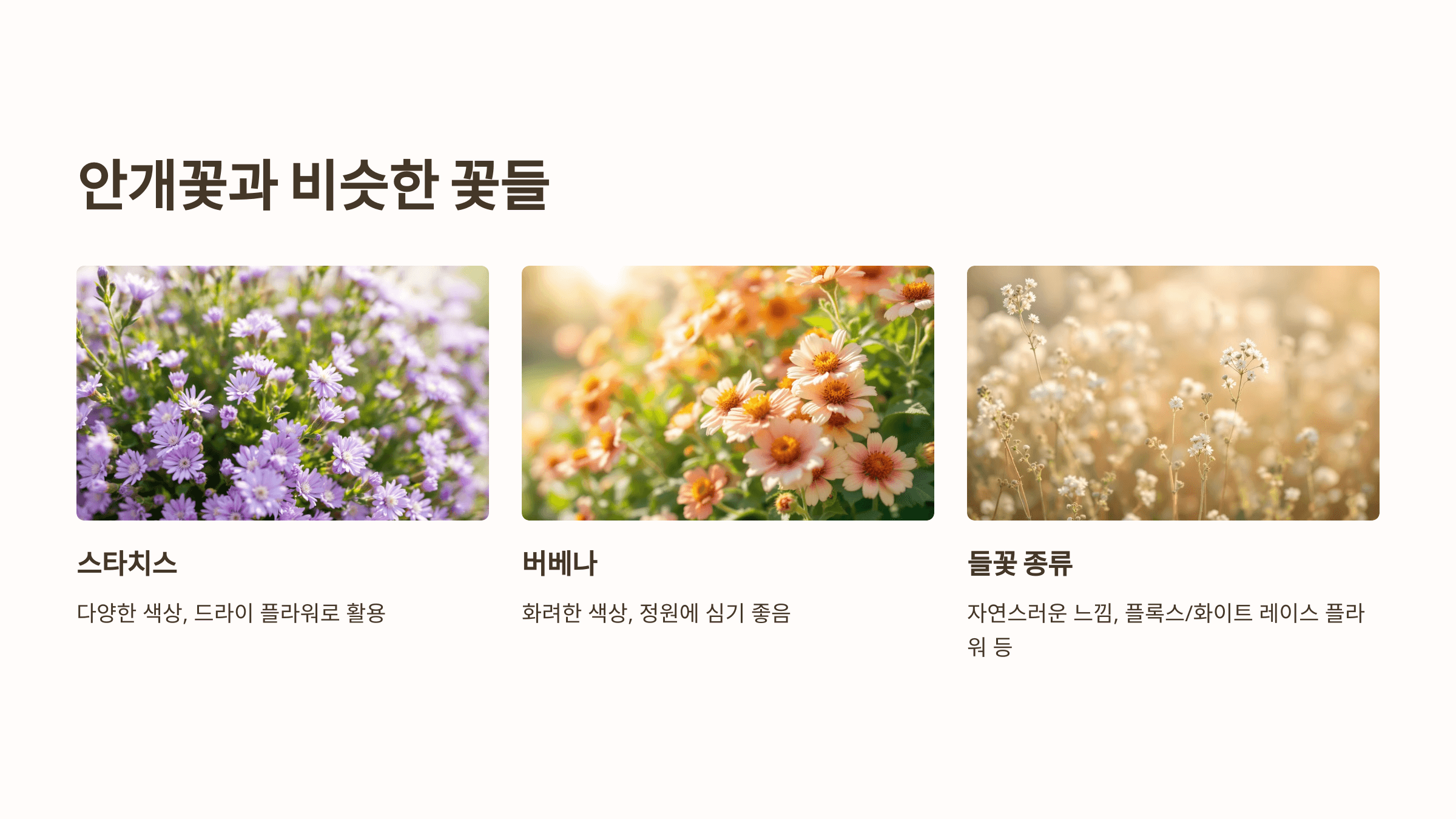 안개꽃 사진입니다.