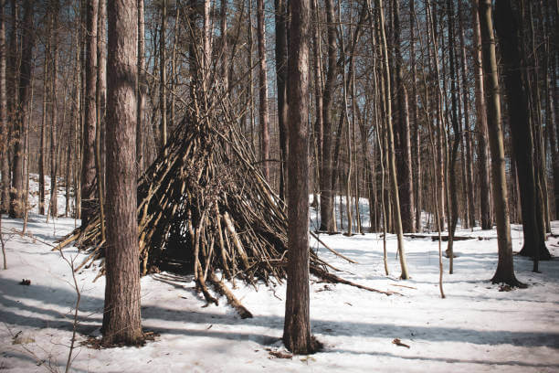 심플 타이브라인쉘터: 밧줄 하나로 만드는 임시 그늘막