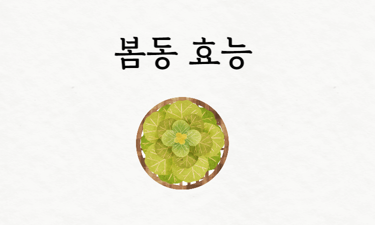 봄동효능썸네일