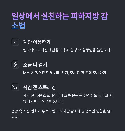 피하지방 제거로 되찾는 건강한 바디라인 전략