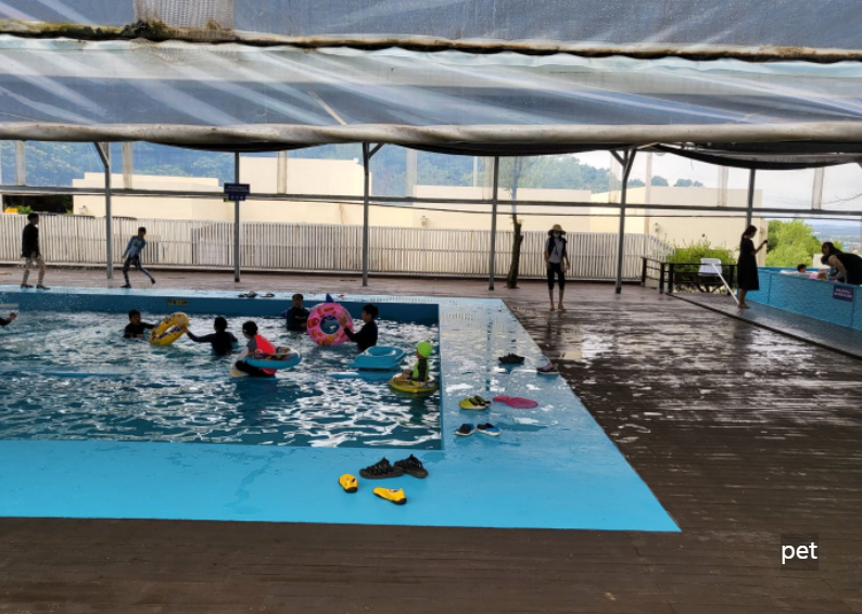 경기-인천-아르보리아-사르데냐-캠핑장-예약-방법-애견-동반-가격-주소-시간-후기