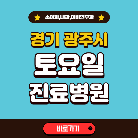 경기 광주시 토요일 진료 병원 찾기 ❘ 주말 문여는 소아과, 내과, 이비인후과 리스트