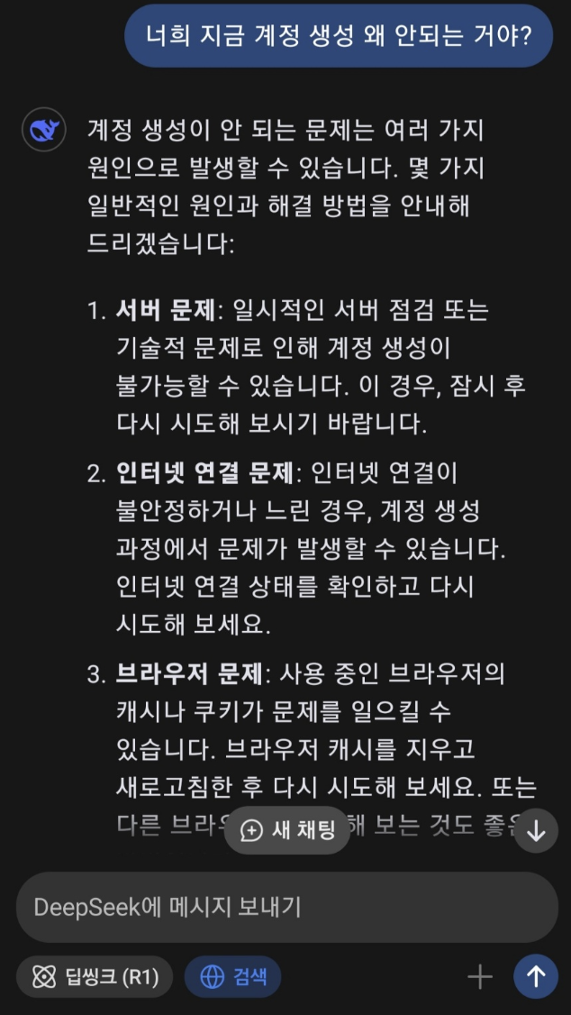 딥시크 채팅 예시