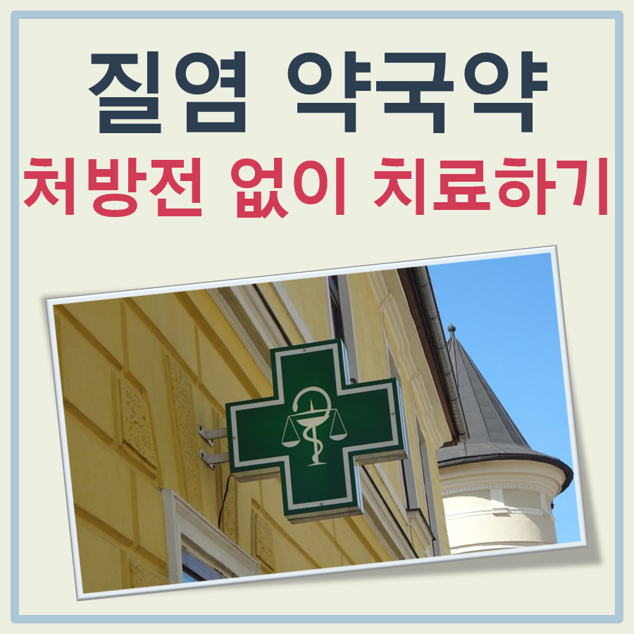 질염 약국약 정리