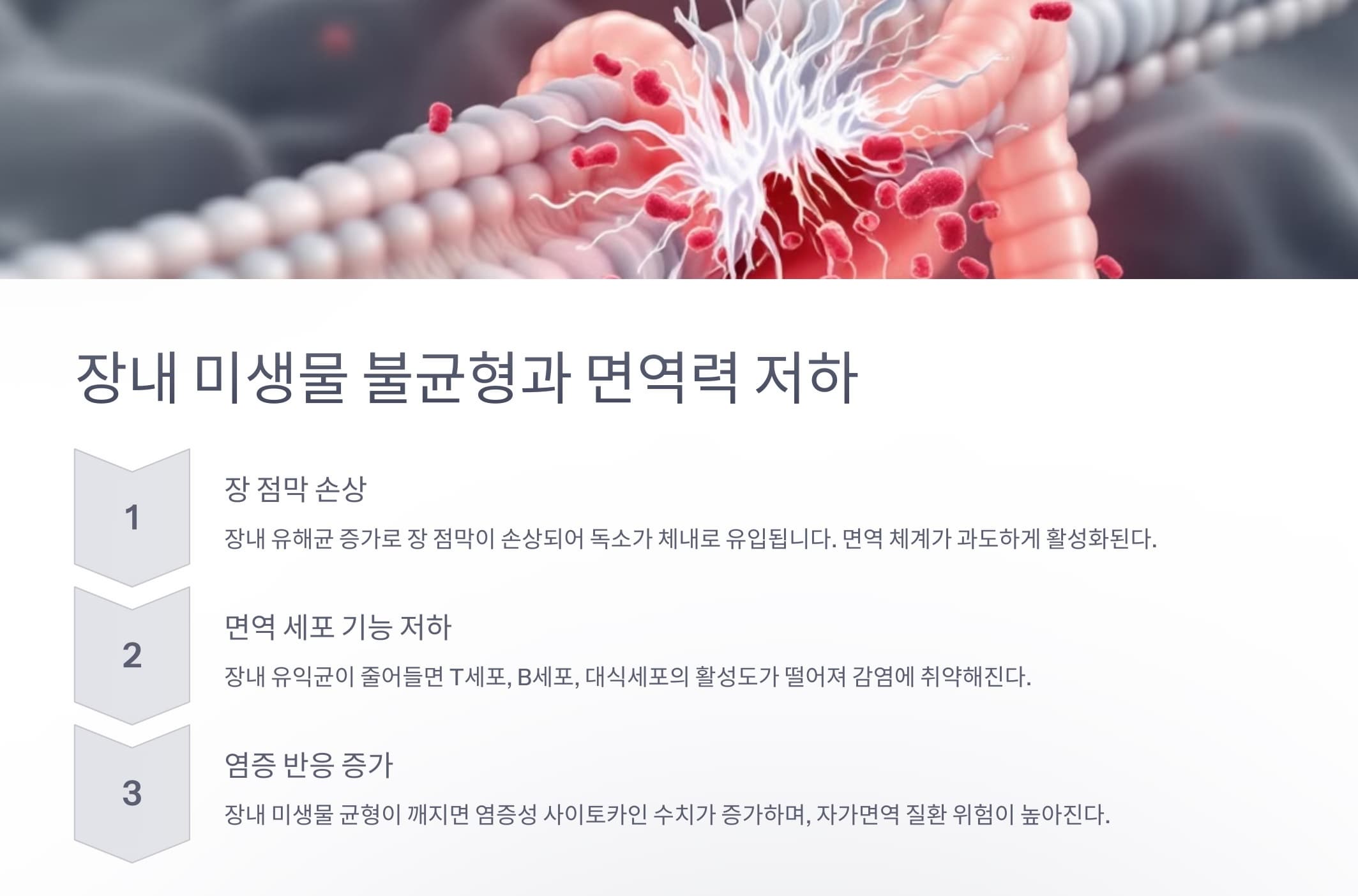 장내 미생물 불균형으로 면역력이 저하되는 과정을 요약한 인포그래픽