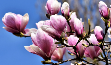 화담숲-예약하기