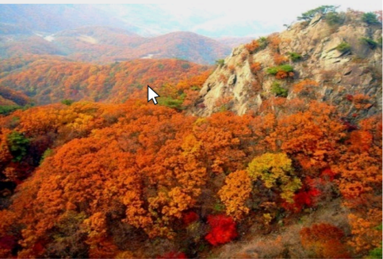 감악산출렁다리단풍