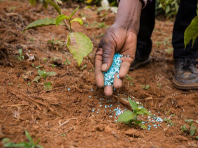 유기질비료