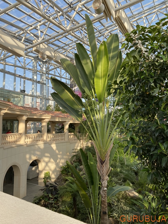 주말 데이트, 가족 나들이 장소 추천 수원 일월수목원