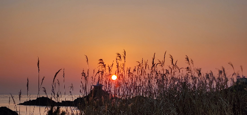 부산 가볼 만 한 곳 기장 해광사, 오랑대공원