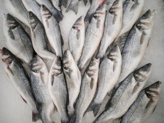 방어 고르는 방법