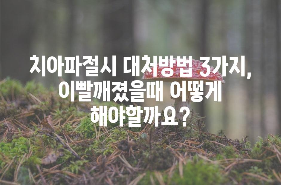 샘플 (42)