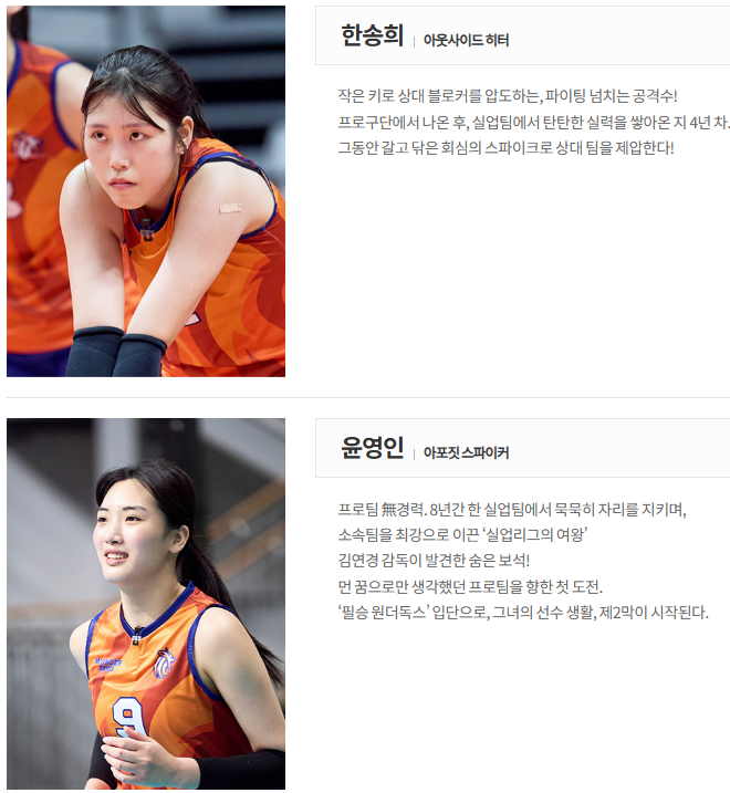 신인감독 김연경