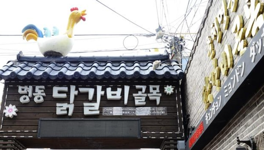 [6시 내고향] 춘천 닭갈비골목&amp;#44; 숯불닭갈비 가게&amp;#44; 철판 옛날닭갈비 택배주문가게 정보