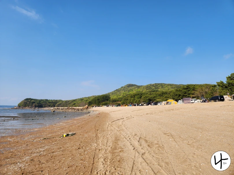 바닷가에-주차된-자동차들