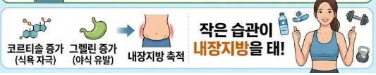 내장지방 빼는법
