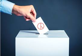 2025년 대통령 선거 이색 투표소