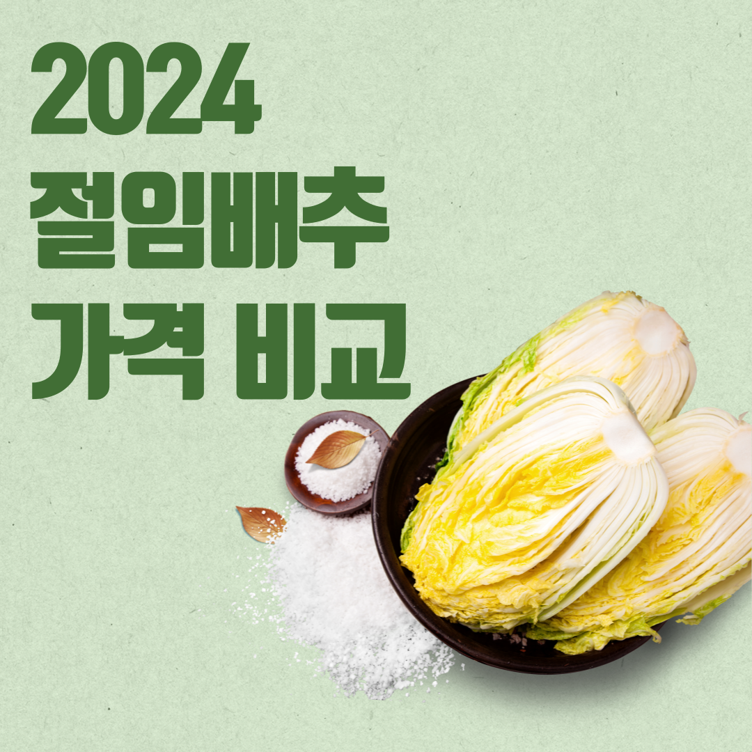 절임배추 가격 비교