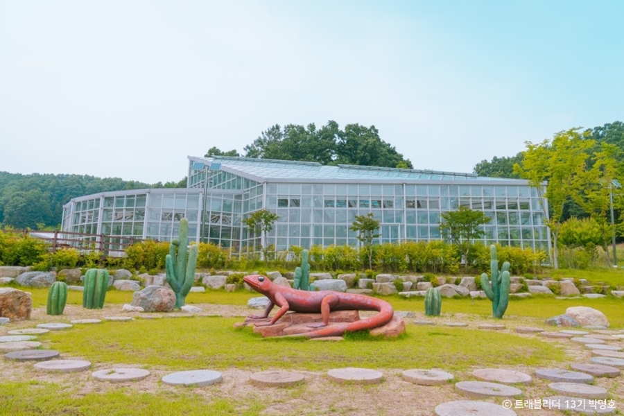 김천 가볼만한곳 베스트10