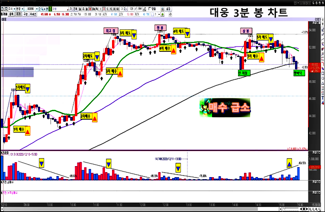 대웅-3분-봉-차트