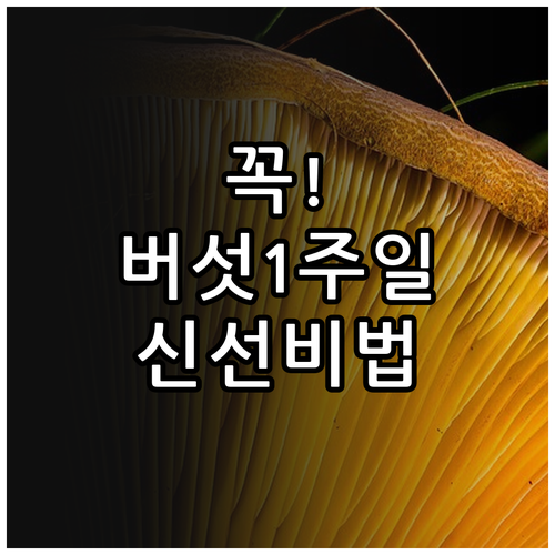 냉장고에서 버섯을 1주일 이상 신선하..