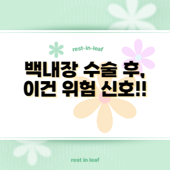 백내장-수술후-합병증