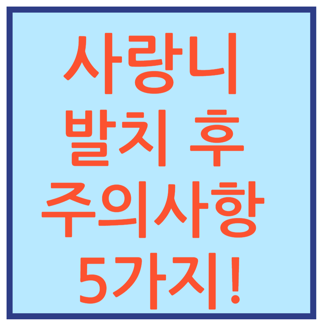 사랑니 발치 후 음식 섭취 관리법
