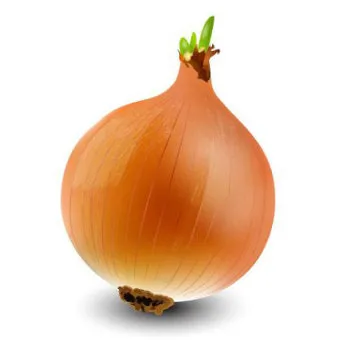 양파 보관법 양파 오래 보관법 3가지 방법_5