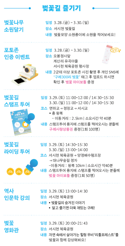 벚꽃길 즐기기