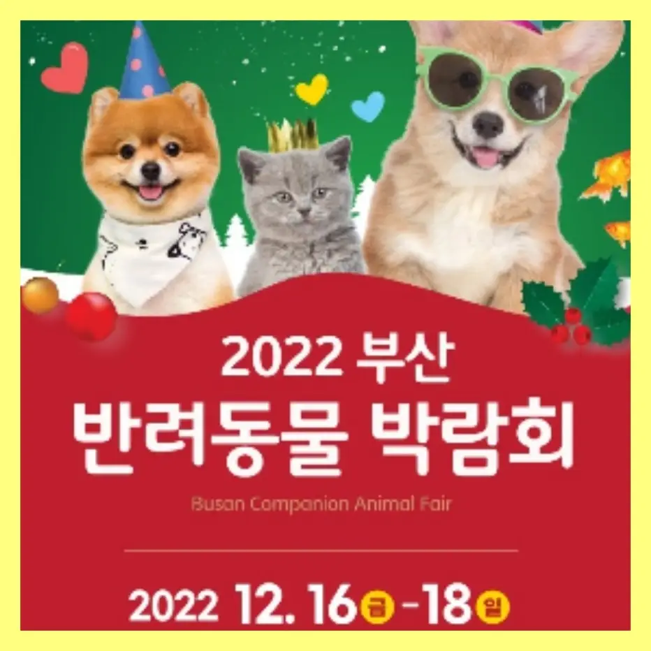 부산 반려동물 박람회 홍보 사진