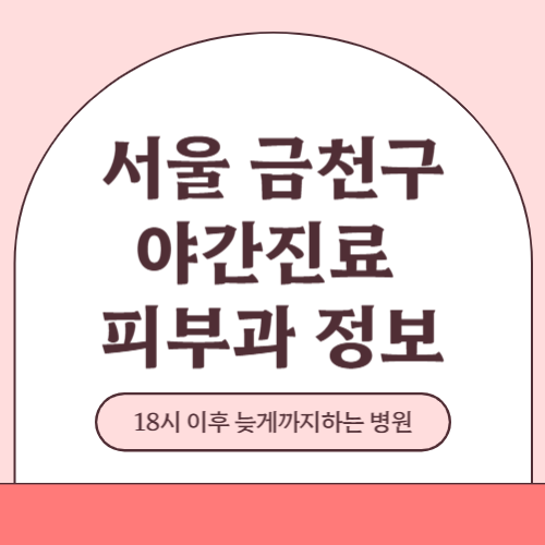 서울 금천구 야간진료 피부과 병원 (18시 이후 늦게까지하는 병원)