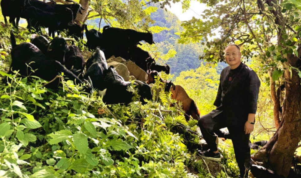 인간극장-영철씨-강진-흑염소농장