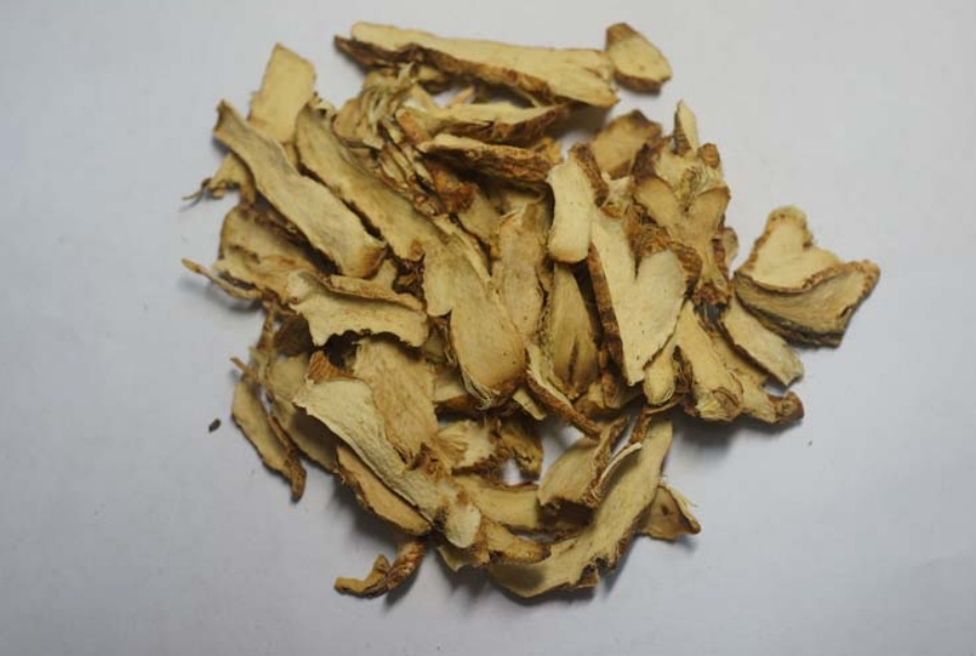 야생에서 채취를 한 지모를 깨끗하게 세척한 후에 편으로 썰어놓은 것을 하얀 바닥 위에 수북하게 놓아두고 찍은 사진