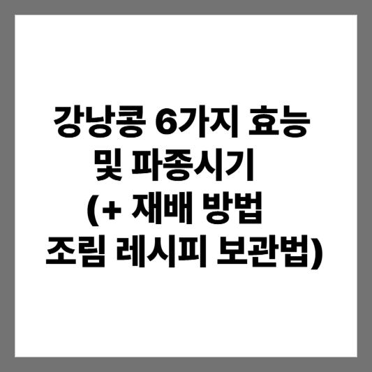 강낭콩 6가지 효능 및 파종시기 (+ 재배 방법 조림 레시피 보관법)