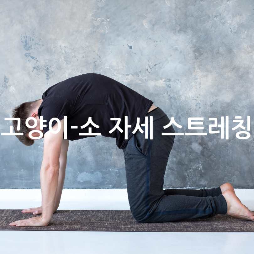 허리 협착증에 좋은 운동