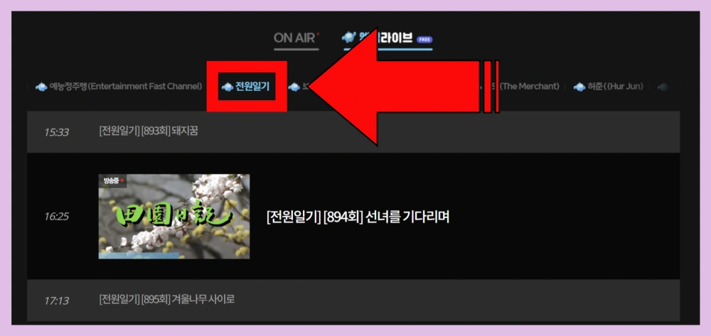 김수미-추모-특집 방송