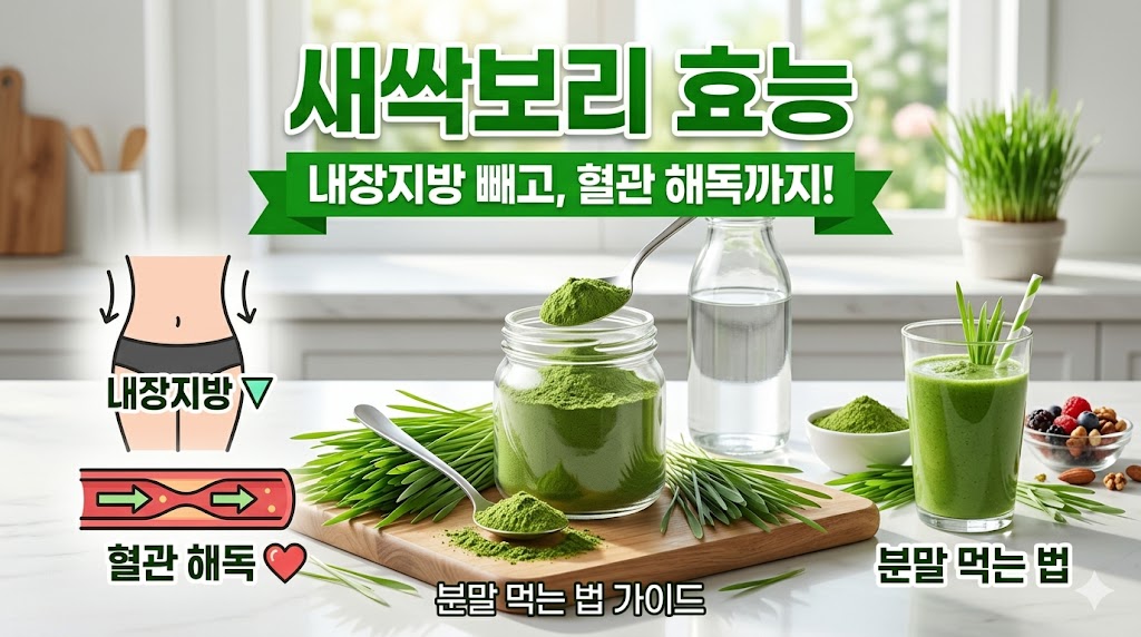 새싹보리 효능