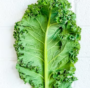 골다공증에 좋은 음식 예방 식단