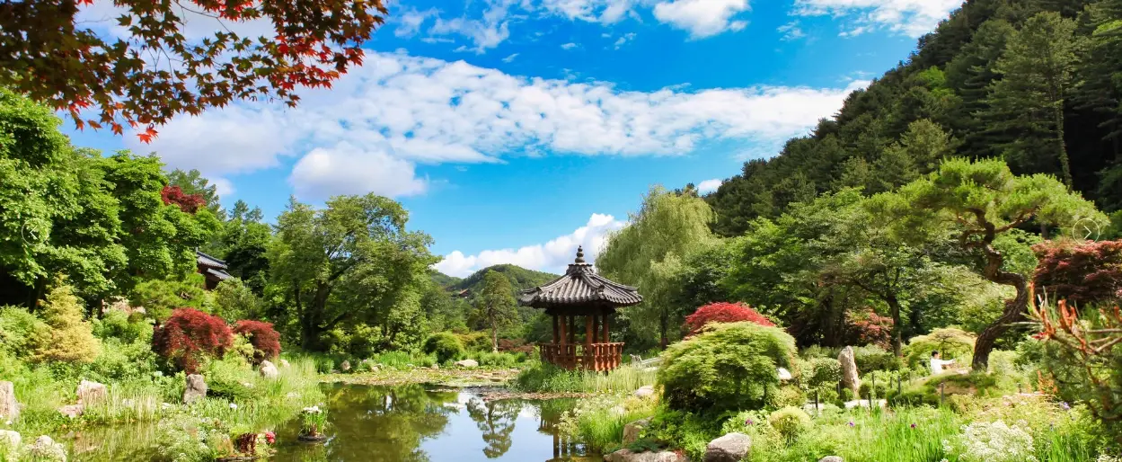 아침고요수목원-입장료-운영시간-관람안내