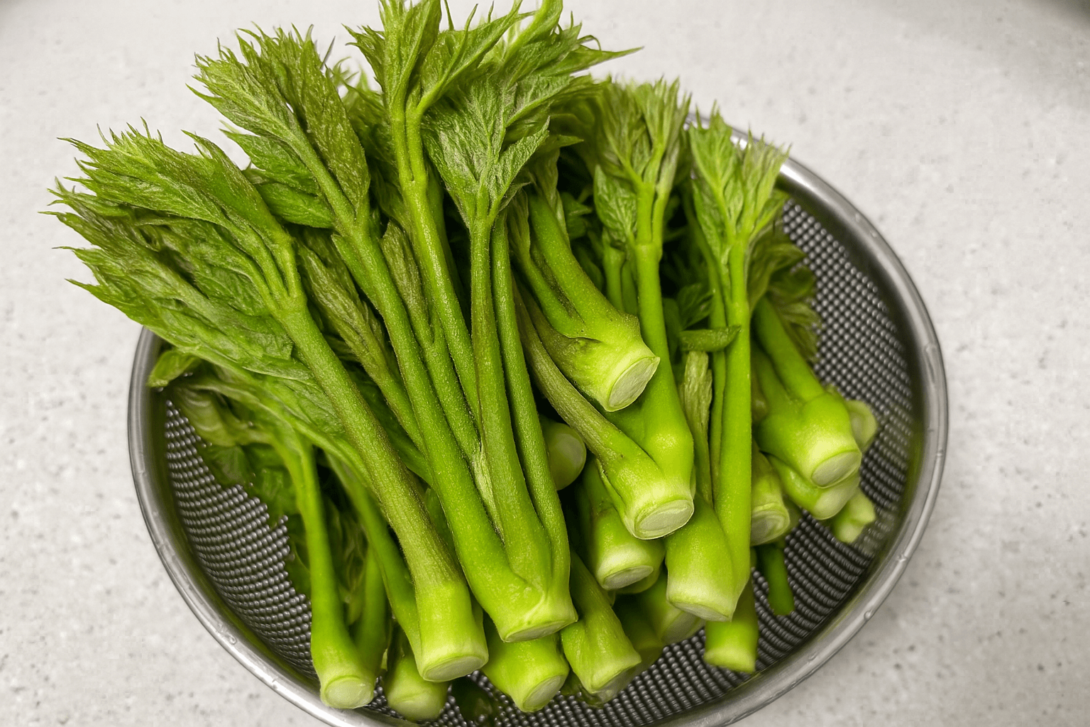 지리산 두릅 해독 레시피와 효능